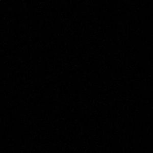 Meet your Posher, Zach